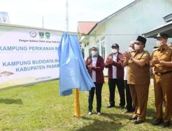 Dilakukan Virtual, Ulang Tahun Kementerian Kelautan Perikanan Dirayakan di Pasaman