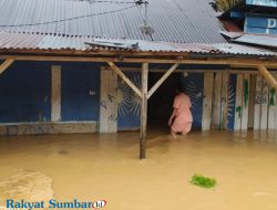 145 Rumah Terendam Banjir di Dharmasraya