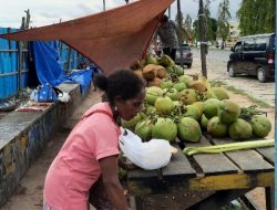 Vaksinasi Bikin Omset Penjual Kelapa Muda Meningkat