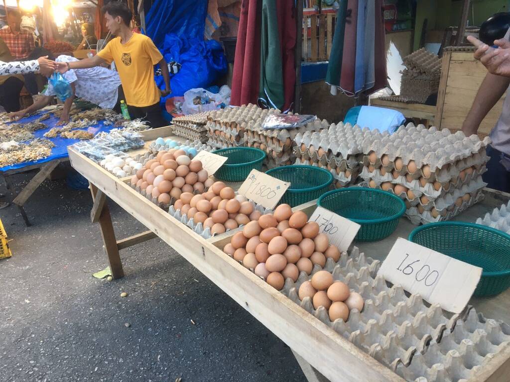 harga telur ayam melambung