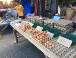 Sepaket, Harga Telur dan Ayam Potong Melambung