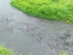Limbah PT Tidar Kerici Agung Diduga Cemari Lingkungan