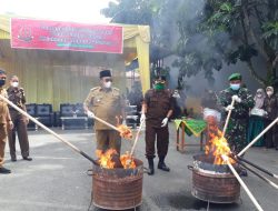 2 Kg Ganja dan 34 Kg Sisik Trenggiling Dimusnahkan