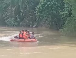 Pelajar SD Diterkam Buaya di Agam, Korban Belum Ditemukan