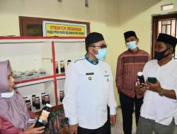 Darah Segar Sapi ternyata Bisa jadi Pupuk