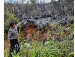 Api Bakar 20 Hektare Lahan Kosong