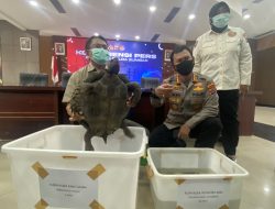 Polda Sumbar Ungkap Kasus Perdagangan Satwa Dilindungi