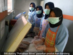 BRI Dorong “Poklahsar Bilvie” Pasarkan Produk Ikan Bandeng Hingga ke Luar Negeri