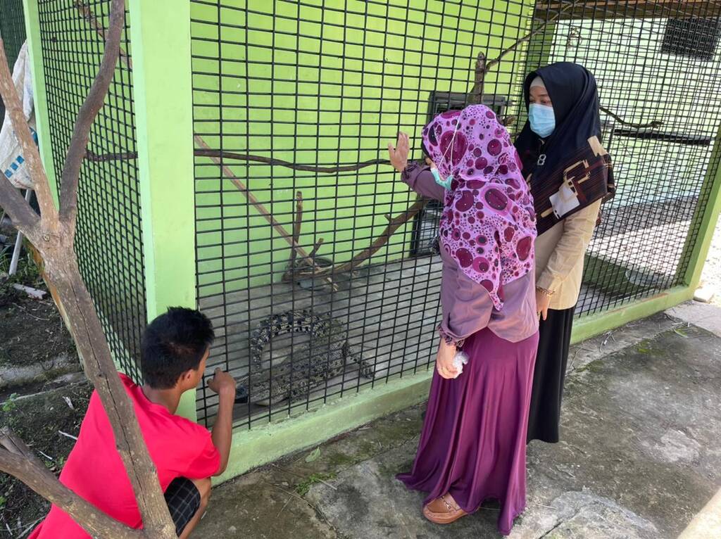 Sejumlah warga melihat seekor buaya setelah tertangkap oleh petugas BKSDA Sumbar. 