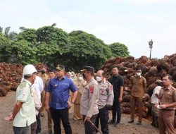 Perusahaan Kelapa Sawit Dilarang Tolak Sawit Warga