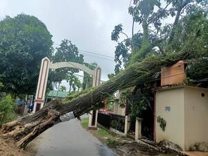 Angin Kencang Robohkan 16 Pohon di Padang