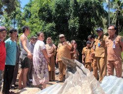 Puluhan Hektare Lahan Pertanian Gagal Panen