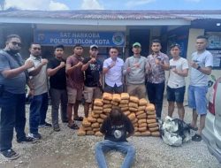 Polres Solok Kota Gagalkan Peredaran 63 Paket Besar Ganja dari Aceh