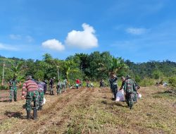 Kodim 0312/Padang Siapkan Lahan Jagung 8 Hektare