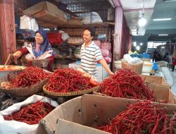 Belum Juga Turun, Harga Capai Masih Rp120 Ribu Perkilo