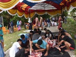 Indo Jalito Peduli Potong Satu Sapi Kurban di Pariaman