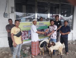 PT GSA Sembelih 11 Ekor Kambing