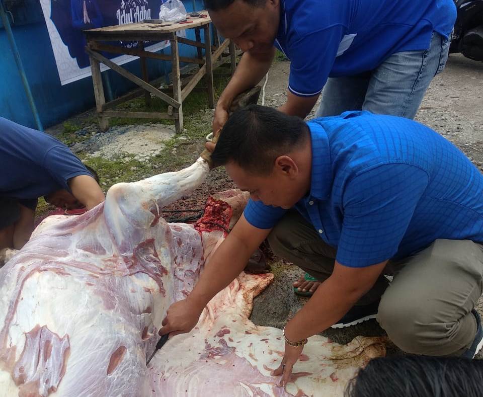 Dewan Pimpinan Daerah (DPD) Partai Amanat Nasional (PAN) Kota Padangpanjang menyembelih sapi kurban bantuan dari Anggota DPR RI Athari Gauti Ardi.