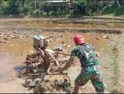 Babinsa Koramil 07/Tanjung Ampalu Ajak Warga Terlibat Ketahanan Pangan Nasional