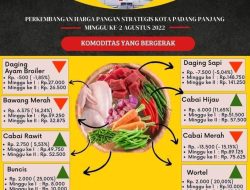 Minggu Kedua Agustus, Harga 18 Komoditas Alami Fluktuasi di Padangpanjang