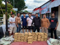Polres Solok Amankan 80 Paket Ganja Siap Edar, Pelaku Masih Diburu