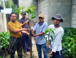 Walinagari Sungai Buluh Bagikan Bibit Tanaman Mangga dan Manggis