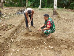 Babinsa Koramil 03/SS Sulap Lahan Tidur Menjadi Kebun Cabe Rawit