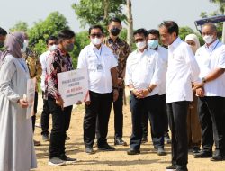 BNI Dukung Program Taksi Alsintan