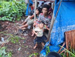 Pasca Gempa 6,4 di Mentawai, Kerusakan Ringan Terjadi di Siberut
