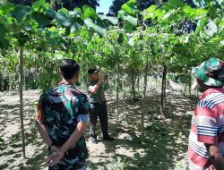 Dandim 0307/TD Apresiasi Prajurit Produktif
