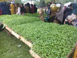 PT Laras Internusa Serahkan 26 Ribu Bibit Cabe