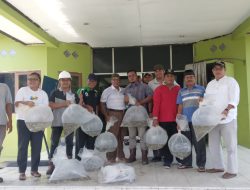 PT Sari Buah Sawit Kinali Tebar Ribuan Benih Ikan