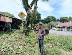 Cuaca Buruk, DLH Diimbau Pantau Pohon Tumbang