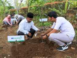 Dukung Pengurangan Emisi, BRI Menanam Proyeksikan Penyerapan Karbon Hingga 108 Ribu Ton CO2