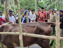 Gubernur: Vaksinasi Hewan Ternak Butuh Kerjasama Berbagai Pihak