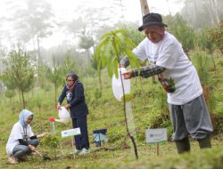 Lingkungan Lebih Hijau dan Malah Jadi Cuan, Nasabah Ungkap Manfaat ‘BRI Menanam’