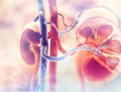 Pasien Gangguan Ginjal Akut Meningkat, yang Dirawat di Rumah Sakit Berkurang