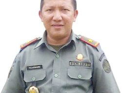 2,3 Juta Hektare Luas Hutan di Sumbar, Cuma Dikawal 138 Polhut