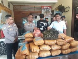 Terungkap, Penjaga SD Sembunyikan Ganja 36 Kg di Gudang Pustaka