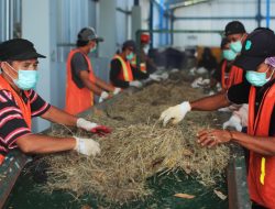 Kaleidoskop 2022, Implementasi Co-Firing di PLN Hasilkan 575,4 GWh Listrik Bersih