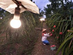 Pemerintah Putuskan Tarif Listrik Tetap, PLN Siap Dorong Ekonomi dengan Listrik Andal
