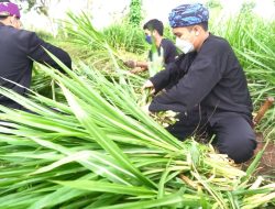 Bio Farma Bina Peternak Milenial