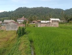 Liswendi Kamar: Akses Jalan Perumahan Villa Mutiara Sarasah Sudah Sesuai Planing Tata Ruang