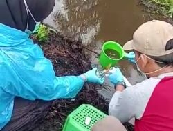 Limbah PT KPS Diduga Cemari Lingkungan, Pemkab Pessel Akan Laporkan ke Kementrian LHK