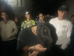 BNNP Sumbar Tangkap Bandar 2 Kg Sabu dan 6 Ribu Ektasi