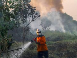 Kekeringan Hantui Sumbar, Langkah Antisipasi Gagal Panen Diperlukan