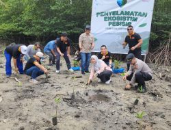 IMA Serahkan 2.700 Bibit Mangrove, Bentuk Peduli Terhadap Lingkungan