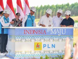 PLTS Tahap 1 Kapasitas 10 MW Sukses Dioperasikan, PLN Tunjukkan IKN Dilayani Energi Bersih