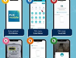 SWACAM Fitur Kekinian di PLN Mobile, Puluhan Ribu Pelanggan Nikmati Kemudahan