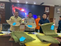 Polisi Buru Pemodal Tambang Emas Ilegal, Pasca Penangkapan 2 Penambang 30 Gram